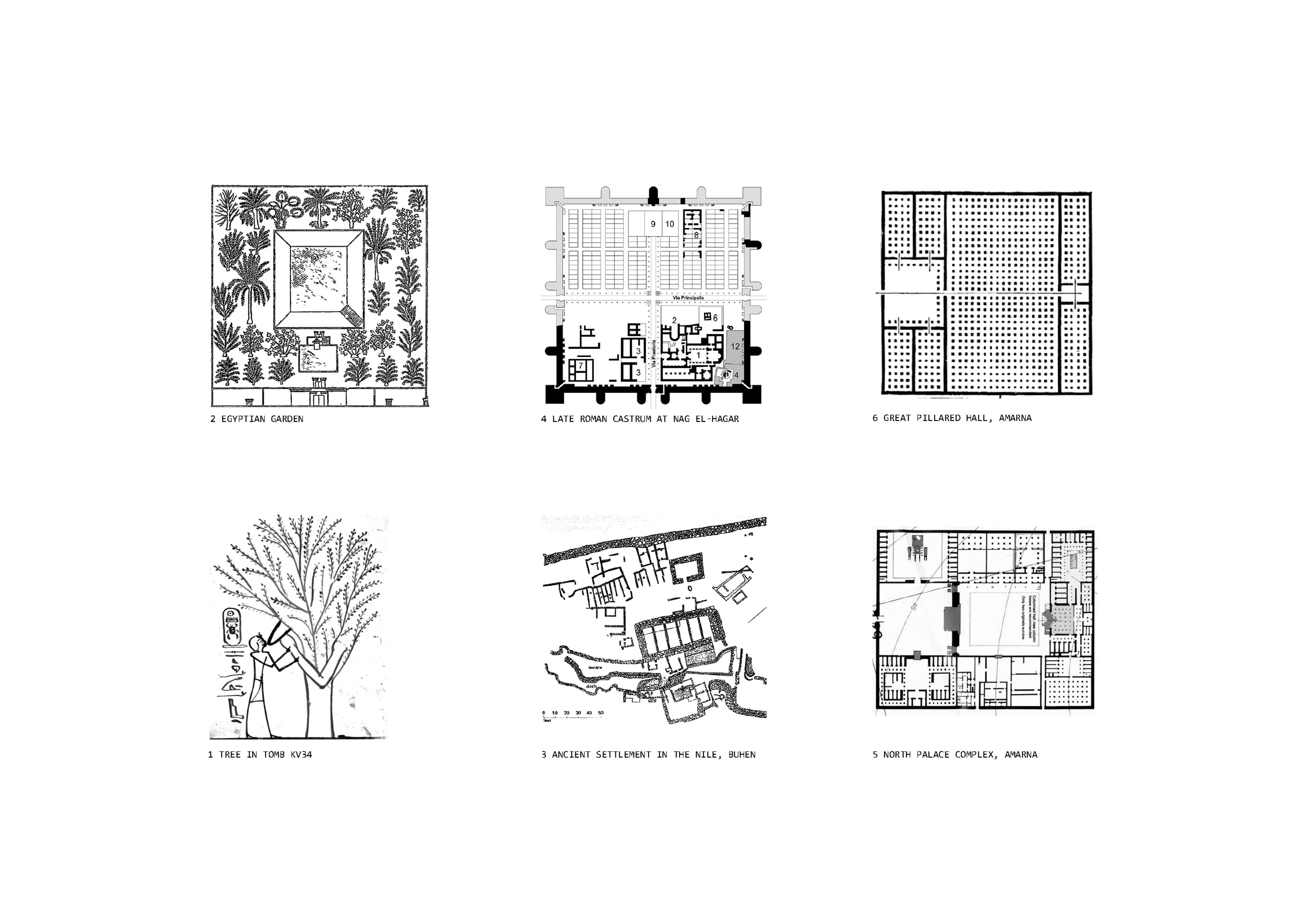 About buildings and fools. La ciudad endémica Tratado de arquitectura y fraude (2020) Francisco Jorquera